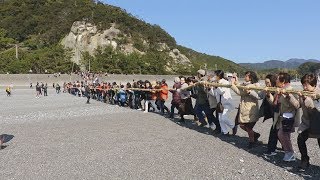 大綱引き、幸せ願う 三重・熊野、花窟神社で例大祭