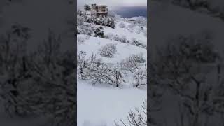 neige en kabylie, Tizi Ouzou, Algérie, ثلوج في أعالي تيزي وزو منطقة القبائل الجزائر