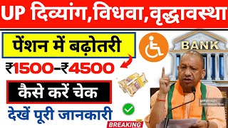 Up Divyang pension kese check Karen || new update