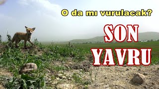 SON YAVRU -  O da vurulacak mı?