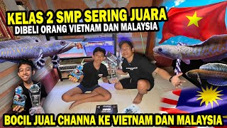 SADIS!! BOCIL JUARA 1 DAN SERING JUAL CHANNA KE LUAR NEGERI