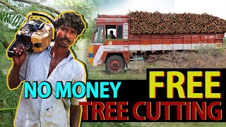 சீமகருவேல மரங்களை ஒரு ரூபாய் செலவில்லாமல் வெட்டலாம் | Free Prosopis Juliflora Cutting