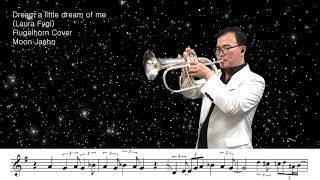 Dream a little dream of me(Laura Fygi)Flugelhorn Cover Moon Jaeho