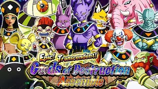 NEW STAGES! Epic! Transcendent! Gods of Destruction Assemble (No Items) | DBZ Dokkan Battle