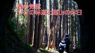 春を探しに　林道と里山をスクーターで巡る