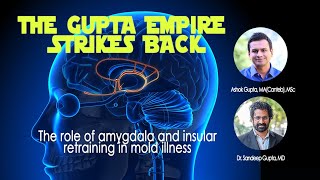The Gupta Empire Strikes Back - The role of amygdala and insular retraining in mold illness