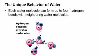 CHM 129 164 Unusual Characteristics of Water