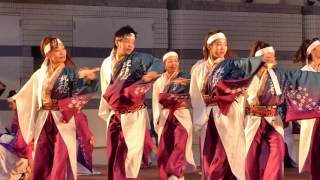 妃龍〔原宿表参道元氣祭スーパーよさこい2016　1日目　代々木公園ステージ20160827〕