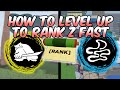 HOW TO LVL UP TO RANK Z FAST + Private Server Codes | Shinobi Life 2