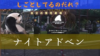 閉館間際の時間を覗いて見た、帰宅拒否するパンダ、けして無理強いしない飼育員さん、ナイトアドベン