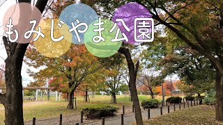 名前の通り様々な種類のもみじの木が沢山ある公園【もみじやま公園】