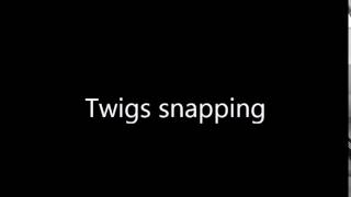 twigs snapping - ed wright