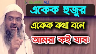 একেক হুজুর একেক কথা বলে আমরা যাব কোন দিকে ?  প্রফেসর ড. আবু বকর যাকারিয়া