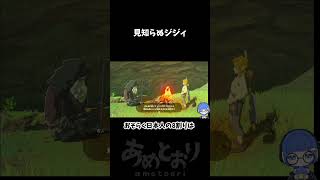 【ゼルダの伝説BotW】見知らぬジジィは大体怖い【あめとおり/Vtuber】#Shorts