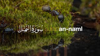 Surah An-Naml سورة النمل في شيخ حني رفاعي