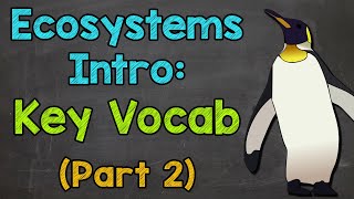 Ecosystems Vocabulary (Part 2) | Ecosystems Introduction | Science with Mr. J