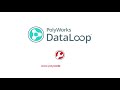 polyworks dataloop 2019