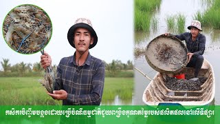 កសិករចិញ្ចឹមបង្កងដោយប្រើចំណីធម្មជាតិជួយពង្រឹងគុណតម្លៃរបស់ផលិតផលនៅលើទីផ្សារ