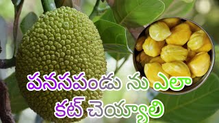 పనస పండు ను నేను ఎలా కట్ చేశానో చూడండి