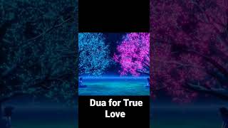 Dua for True Love |Islamic Meditation #meditation #soothingvoice #islam #saadalqureshi#short
