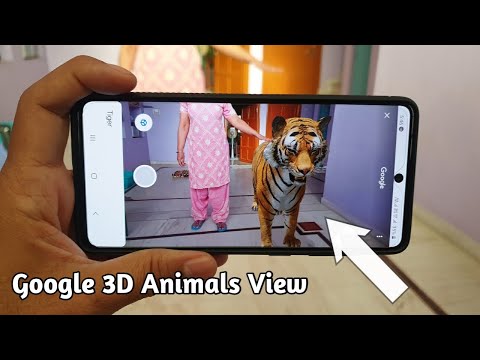 How to Get and Use Google 3D Animals