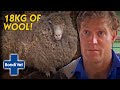 Sheep Hasn't Been Sheared For 5 Years (18KG WORTH OF WOOL!) | Bondi Vet