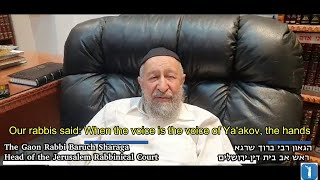 Gdolei HaDor Supporting Be'Ezrat HaShem Organization- Rabbi Baruch Shraga Shlit\