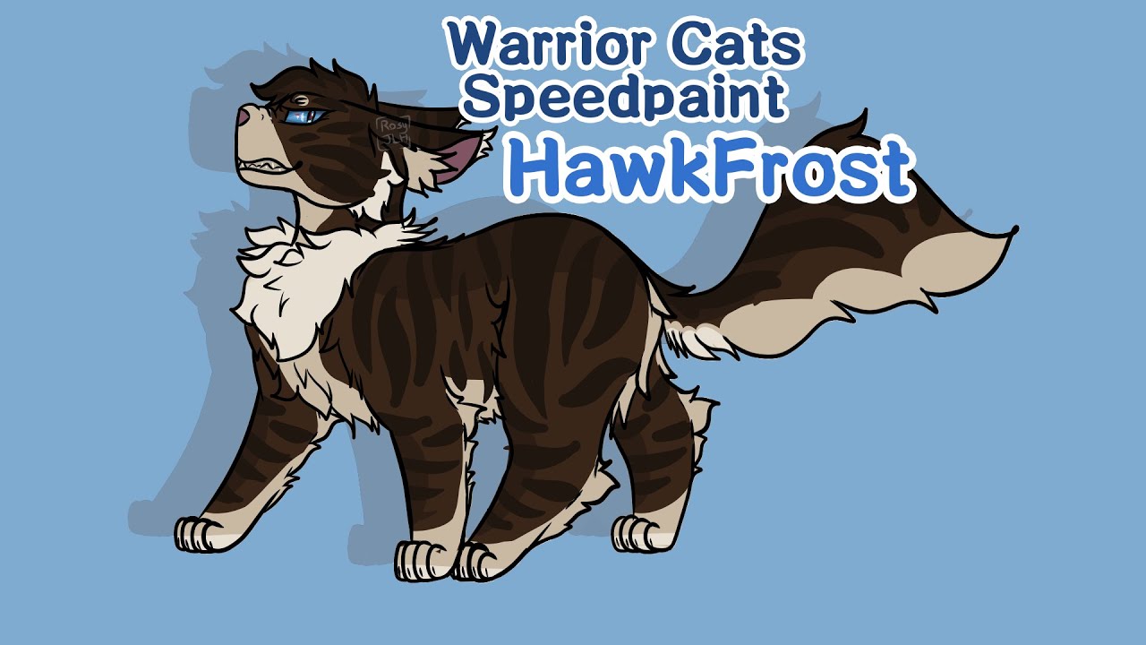 Hawkfrost Warrior Cats Speedpaint Youtube