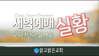 [맑고밝은교회]새벽예배(로마서 강해) 실황(20210112)(김영진 목사)