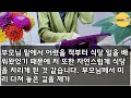 반전 실화사연 결혼 전 고급 등심집으로 불러내 외상값 260 내게 물린 시댁식구 이 정도 못내주면 넌 파혼감이야 급히온 내 직원 얼굴을 보자 시댁이 난장판 되는데 신청사연 사연