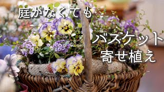 【バスケット寄せ植え】春の花・パンジー