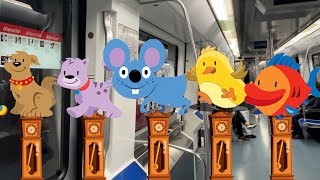 Hickory Dickory Dock Pet Animals Crash! 🕰️🐭 | Super Simple Songs | For Baby 0-2 Years 👶🏻