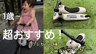 【一歳誕生日】くすみカラーの2wayベビーライダー✳︎ながーく使える！