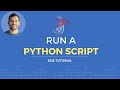 How to run Python in SSIS!