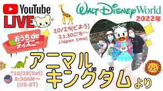 🔴Live❣️アメリカ ディズニー のアニマルキングダムから生配信💕アトラクション、動物に大興奮！(2022-10-29)