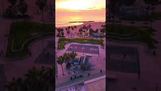 Life goal achievement unlocked: Sunset hooping in Venice Beach 🌅 🏀