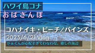 ハワイ島コナ・おばさんぽ/パインズは癒しの浜 2023/6/21