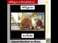 สติปัฏฐาน 4 นักปฏิบัติต้องรู้ หลวงตาสินทรัพย์ พระสิ้นคิด