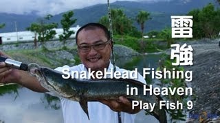 Play Fish 9,  雷強 後花園走走 Snakehead Fishing in Heaven