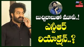 Jr NTR Reaction about his Next Movie With Uppena Director Buchi Babu | RRR Movie | TV5 Tollywood