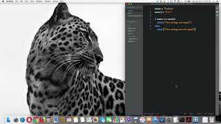 Compare Strings with if, else statements , python
