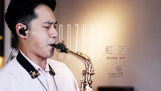 《紅豆》-王菲-薩克斯風Sax Cover By 建甫