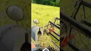 Kubota rice harvest,ការប្រមូលផលស្រូវដោយគូបូតា