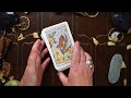 woodland wardens oracle deck unboxing u0026 flip through