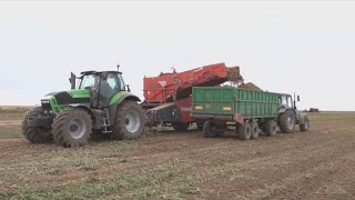 Павлодар облысында біреу картоп пен сәбізді ауыл іргесіне үйіп төгіп кеткен