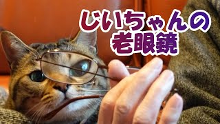 No.245　あいちゃんとおじいちゃん【癒し猫あいちゃんを癒しの音楽とともに～】