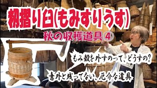 【籾摺り臼】もみ殻を外すのはどうしたのだろう。みんな使ってたのに残ってない道具。重たくて壊れやすい、厄介者。#昭和　#江戸　#米作り　秋の収穫道具④