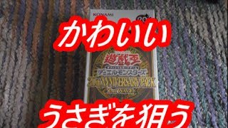 【遊戯王】幽鬼うさぎ欲しい、遊戯王カード20thアニバーサリーパック2nd wave開封