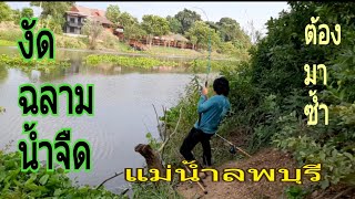 ตกปลาหน้าดินแม่น้ำลพบุรี