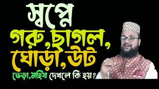 স্বপ্নে গরু ছাগল ঘোড়া উট গাধা মহিষ ভেড়া দেখলে কি হয়?kazi amin at tafhim ! Banglar muslim